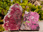 Natural Salrose Cobaltoan Dolomite Specimens x 4 From Kakanda, Congo