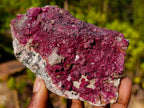 Natural Salrose Cobaltoan Dolomite Specimens x 4 From Kakanda, Congo