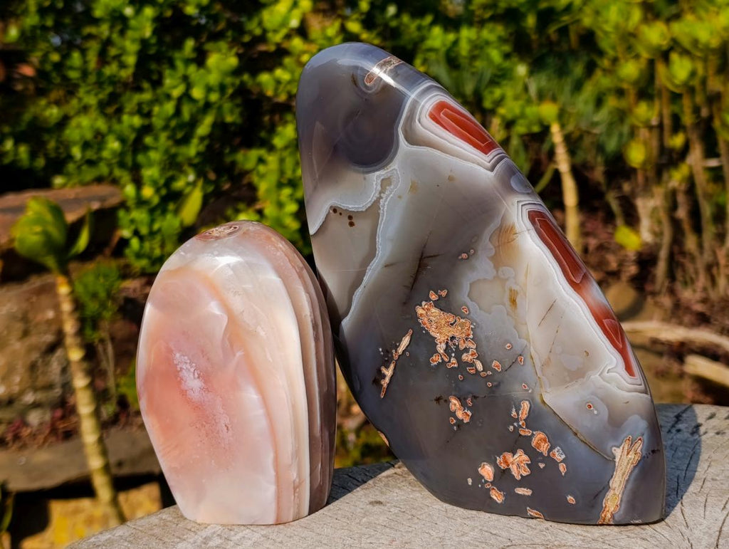 Polished and Natural Red Shashe River Agate Standing Display Pieces x 2 From Shashe River, Zimbabwe