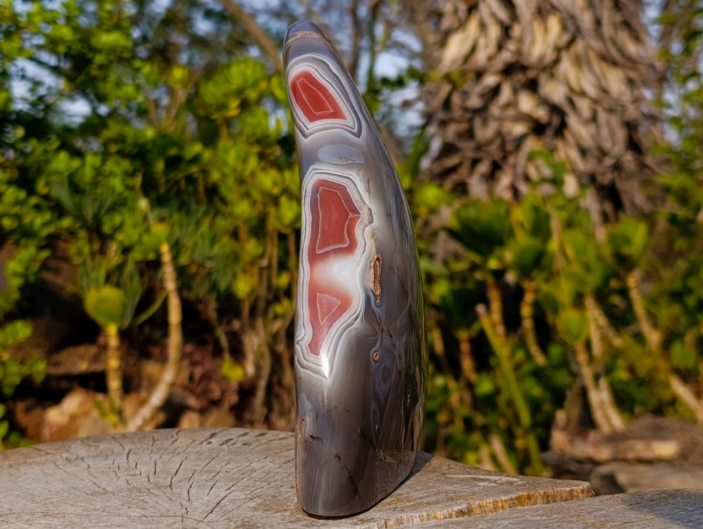 Polished and Natural Red Shashe River Agate Standing Display Pieces x 2 From Shashe River, Zimbabwe