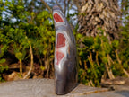 Polished and Natural Red Shashe River Agate Standing Display Pieces x 2 From Shashe River, Zimbabwe