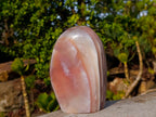 Polished and Natural Red Shashe River Agate Standing Display Pieces x 2 From Shashe River, Zimbabwe