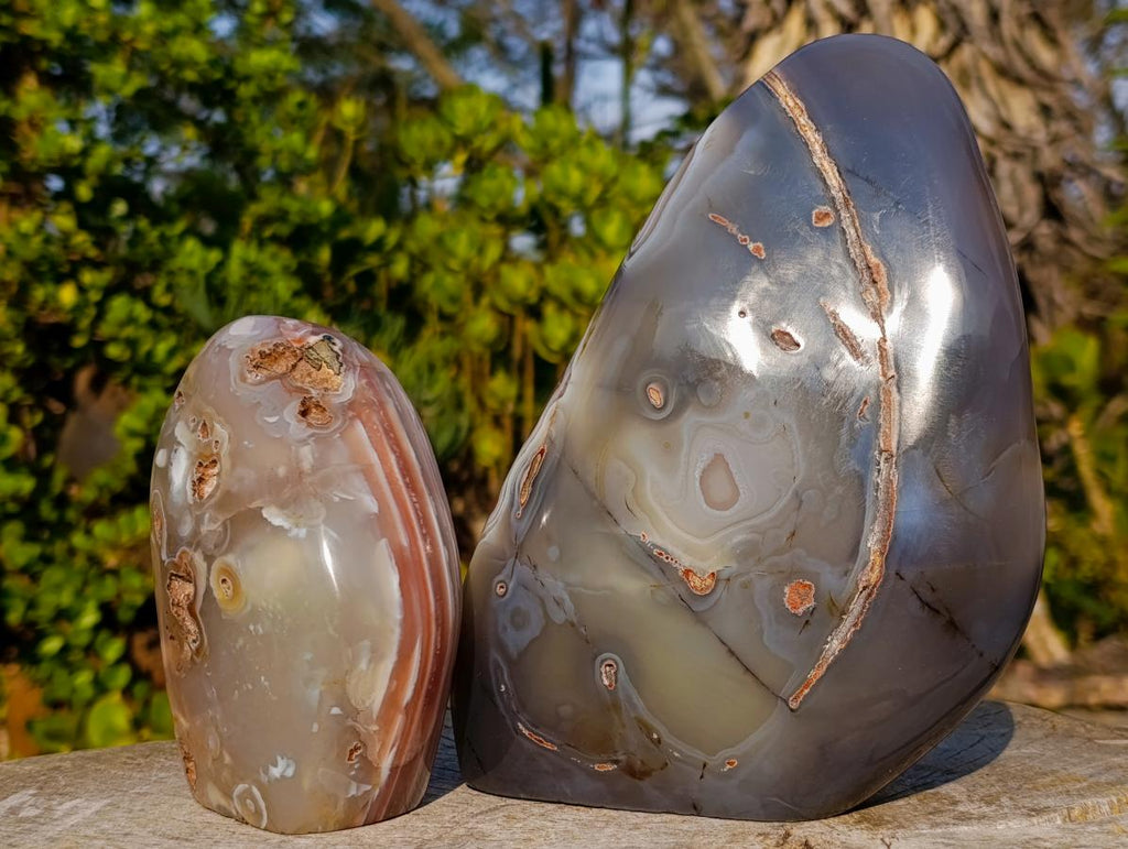 Polished and Natural Red Shashe River Agate Standing Display Pieces x 2 From Shashe River, Zimbabwe