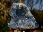 Natural Blue Celestite Specimens x 2 From Sakoany, Madagascar