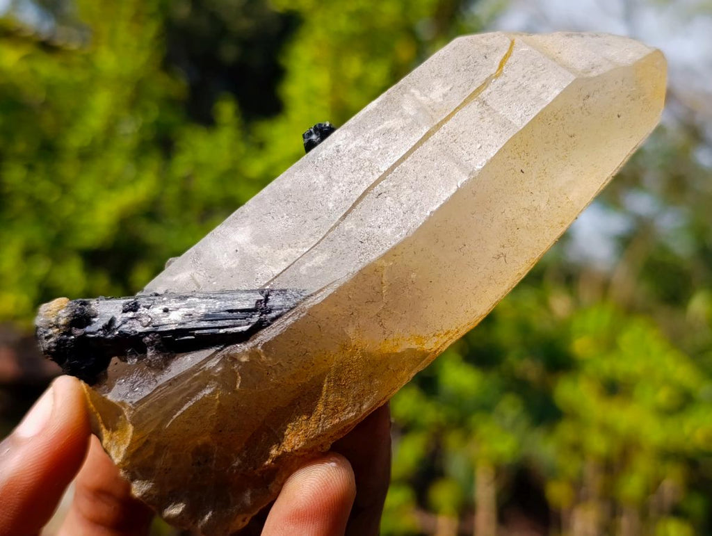 Natural Smokey Quartz Crystals with Associated Minerals x 6 From Erongo, Namibia