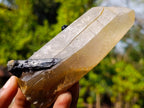 Natural Smokey Quartz Crystals with Associated Minerals x 6 From Erongo, Namibia