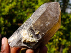 Natural Smokey Quartz Crystals with Associated Minerals x 6 From Erongo, Namibia