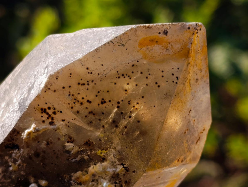 Natural Smokey Quartz Crystals with Associated Minerals x 6 From Erongo, Namibia
