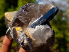 Natural Smokey Quartz Crystals with Associated Minerals x 6 From Erongo, Namibia