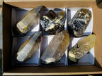 Natural Smokey Quartz Crystals with Associated Minerals x 6 From Erongo, Namibia