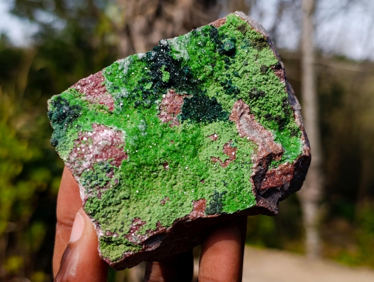 Natural Mix of Mineral Specimens x 6 From Congo