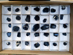 Natural Schorl Black Tourmaline Crystals x 35 From Erongo, Namibia