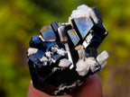 Natural Schorl Black Tourmaline Crystals x 35 From Erongo, Namibia
