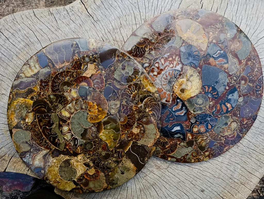 Hand Made Ammonite Conglomerate Table Plaques x 2 From Mahajanga, Madagascar