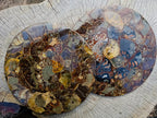 Hand Made Ammonite Conglomerate Table Plaques x 2 From Mahajanga, Madagascar