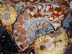 Hand Made Ammonite Conglomerate Table Plaques x 2 From Mahajanga, Madagascar