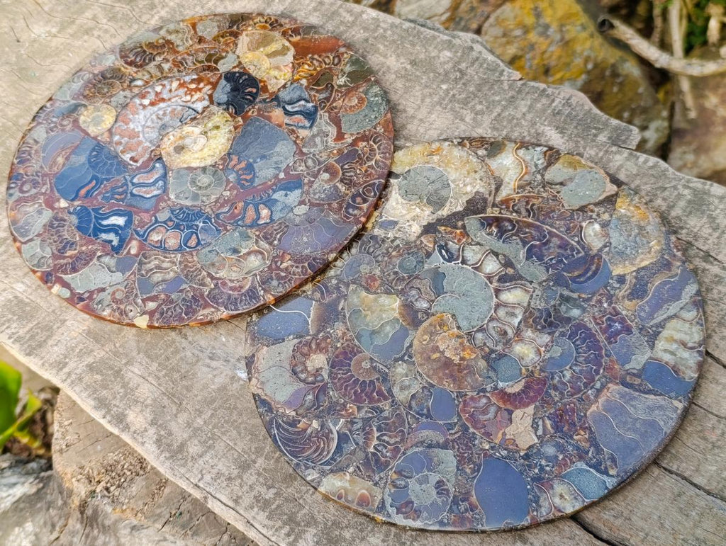 Hand Made Ammonite Conglomerate Table Plaques x 2 From Mahajanga, Madagascar