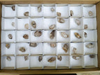 Natural Small Smokey Quartz Crystals x 35 From Brandberg, Namibia