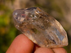 Natural Small Smokey Quartz Crystals x 35 From Brandberg, Namibia