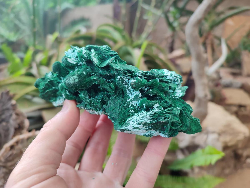 Natural Rare Malachite Pseudomorph Specimens with Associated Minerals x 2 From Kolwezi, Congo