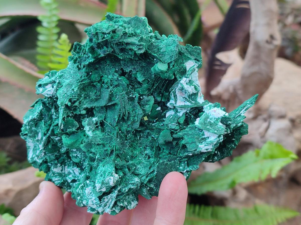 Natural Rare Malachite Pseudomorph Specimens with Associated Minerals x 2 From Kolwezi, Congo