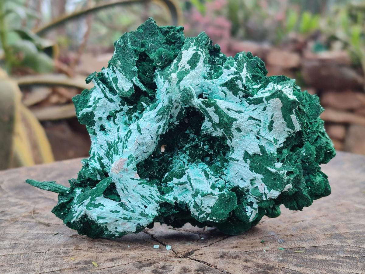 Natural Rare Malachite Pseudomorph Specimens with Associated Minerals x 2 From Kolwezi, Congo