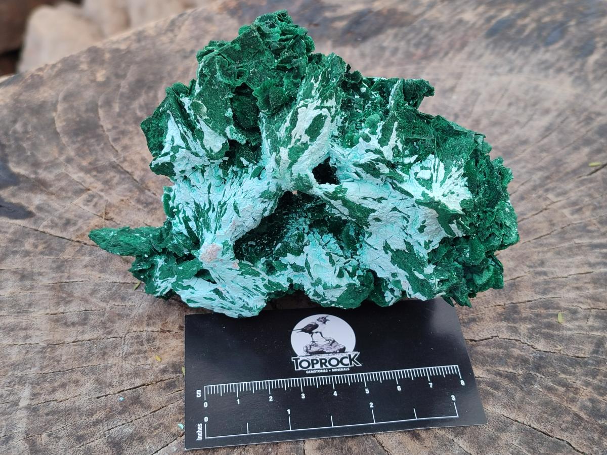 Natural Rare Malachite Pseudomorph Specimens with Associated Minerals x 2 From Kolwezi, Congo