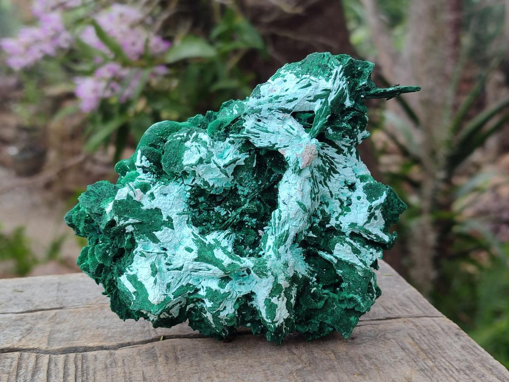 Natural Rare Malachite Pseudomorph Specimens with Associated Minerals x 2 From Kolwezi, Congo