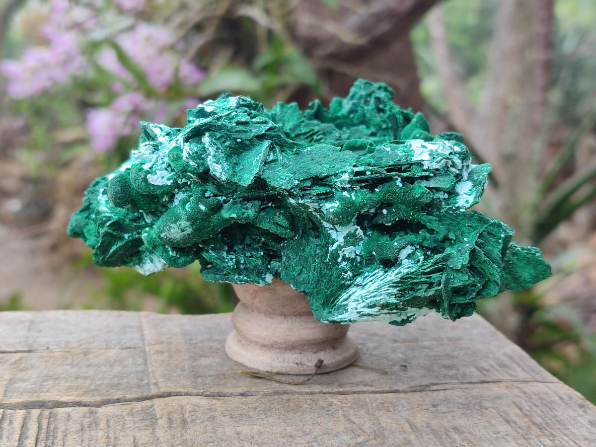 Natural Rare Malachite Pseudomorph Specimens with Associated Minerals x 2 From Kolwezi, Congo