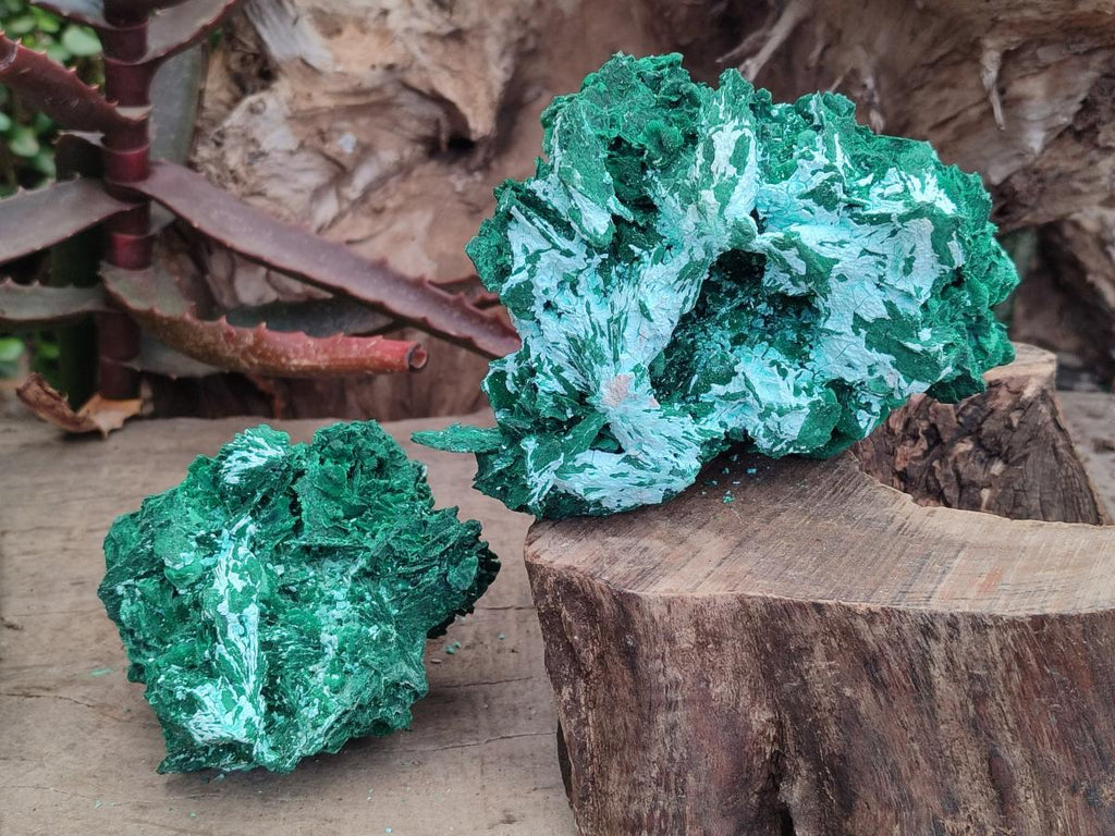 Natural Rare Malachite Pseudomorph Specimens with Associated Minerals x 2 From Kolwezi, Congo