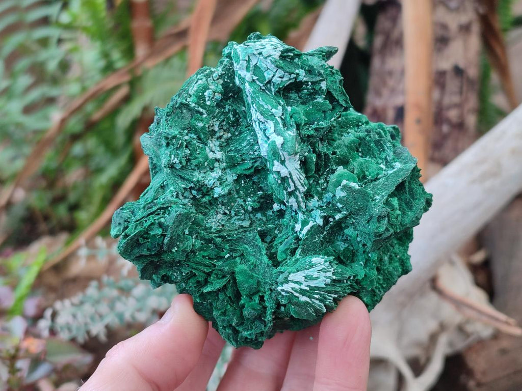 Natural Rare Malachite Pseudomorph Specimens with Associated Minerals x 2 From Kolwezi, Congo