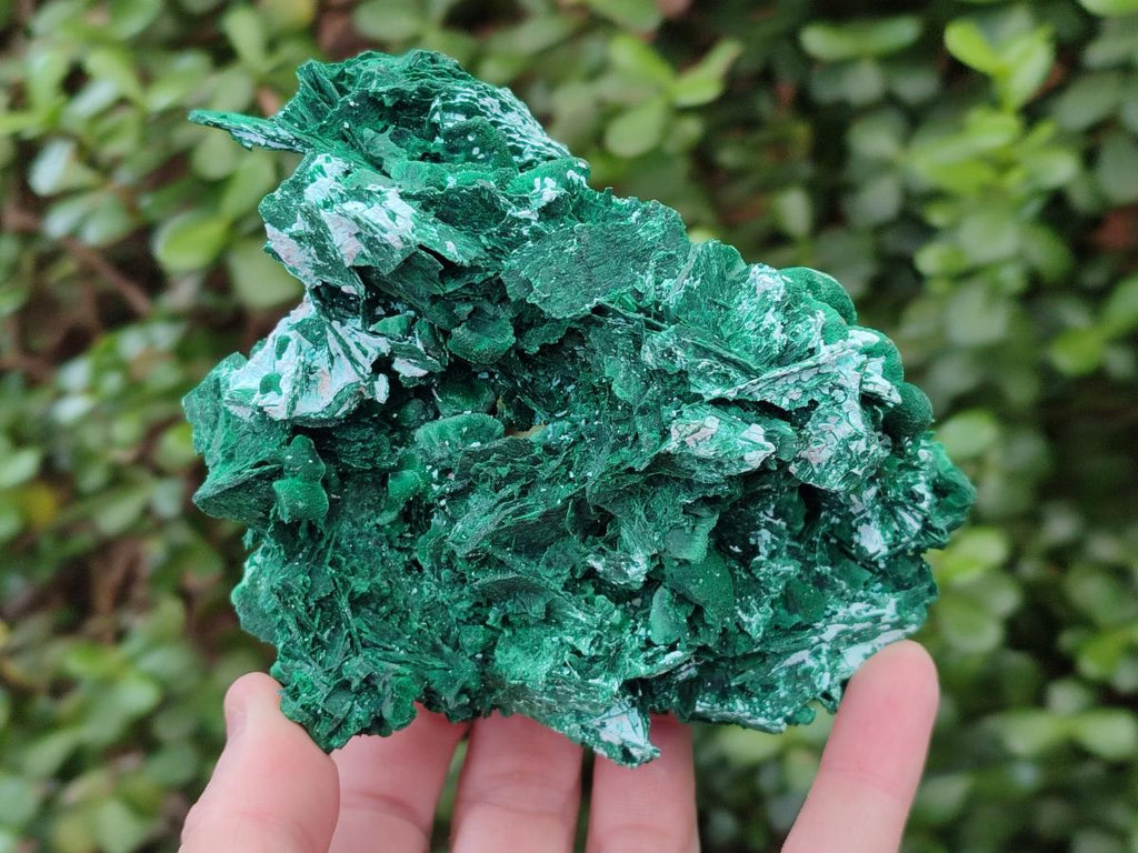 Natural Rare Malachite Pseudomorph Specimens with Associated Minerals x 2 From Kolwezi, Congo
