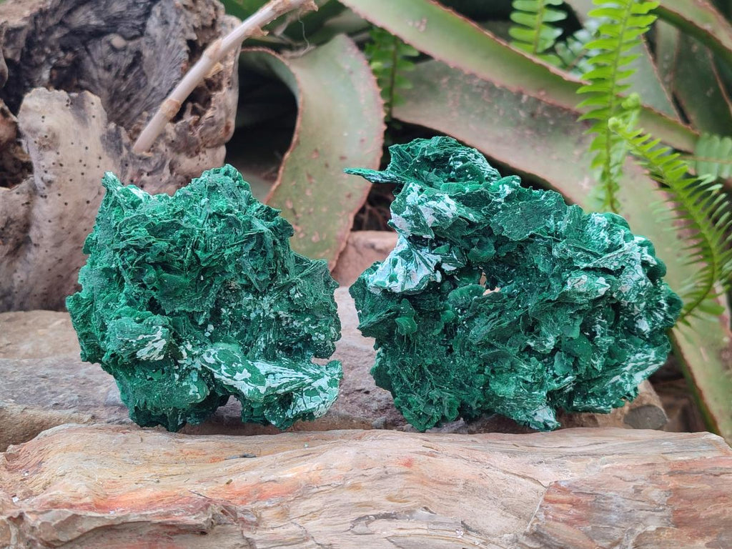 Natural Rare Malachite Pseudomorph Specimens with Associated Minerals x 2 From Kolwezi, Congo