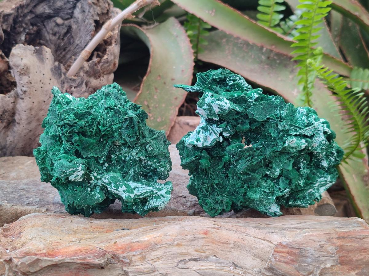 Natural Rare Malachite Pseudomorph Specimens with Associated Minerals x 2 From Kolwezi, Congo