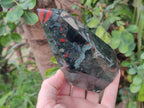 Polished Bloodstone Display Crystals x 2 From Swaziland