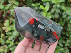 Polished Bloodstone Display Crystals x 2 From Swaziland