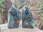 Polished Bloodstone Display Crystals x 2 From Swaziland