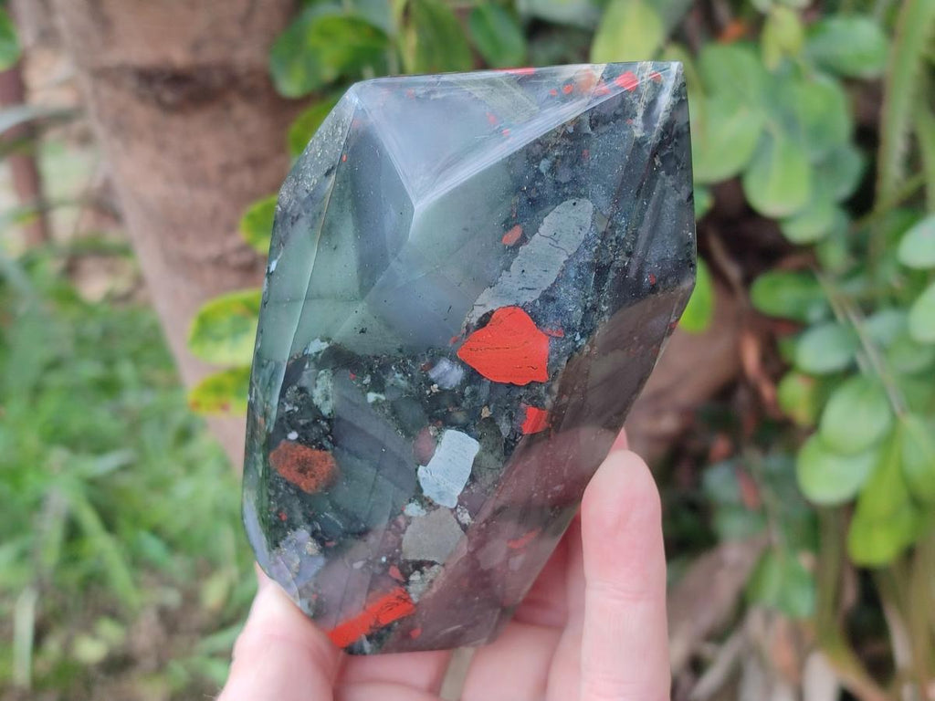 Polished Bloodstone Display Crystals x 2 From Swaziland