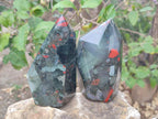 Polished Bloodstone Display Crystals x 2 From Swaziland