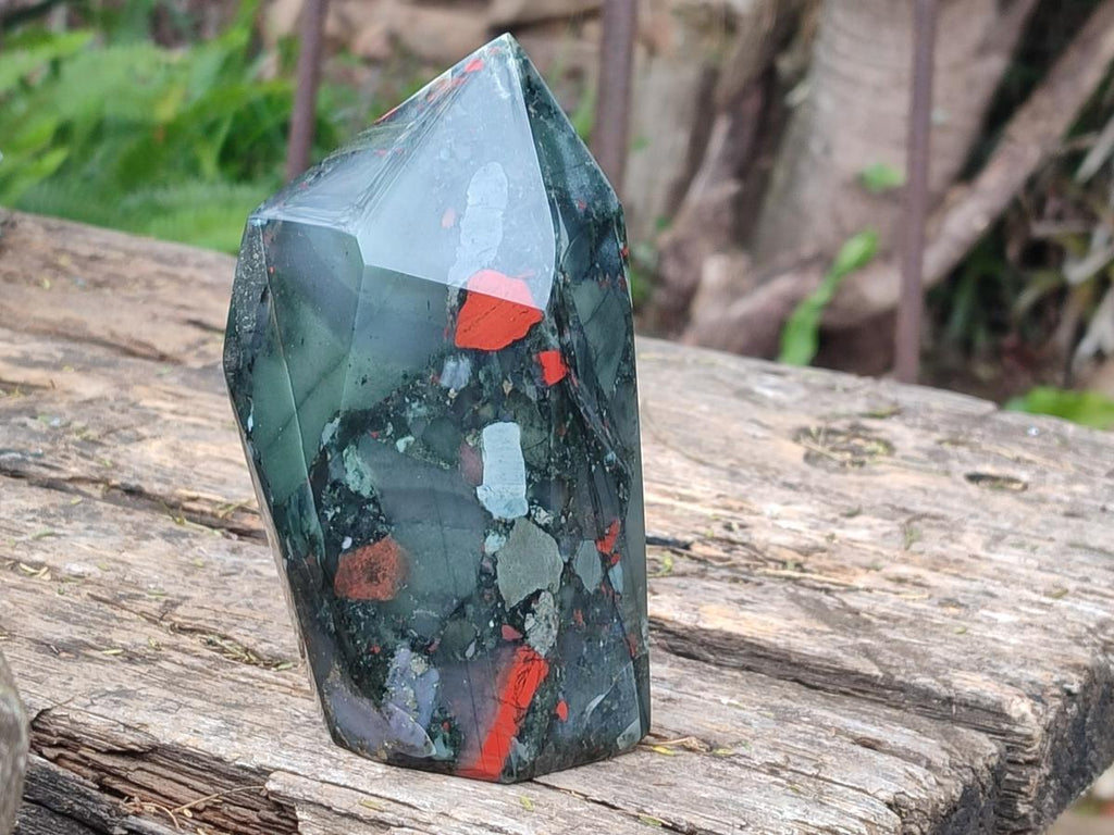 Polished Bloodstone Display Crystals x 2 From Swaziland