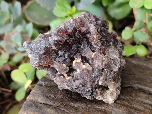 Natural Smokey Fluorite Specimens with Yellow Muscovite Mica x 6 From Erongo, Namibia