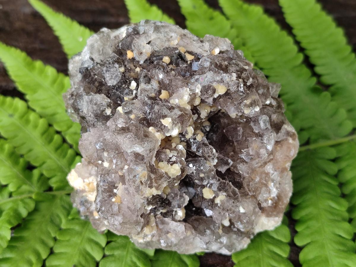 Natural Smokey Fluorite Specimens with Yellow Muscovite Mica x 6 From Erongo, Namibia