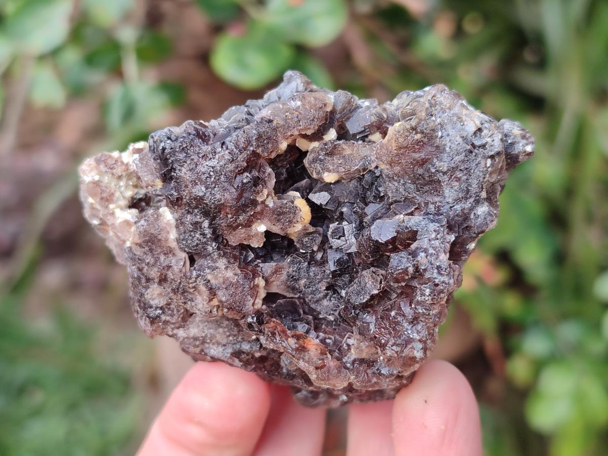 Natural Smokey Fluorite Specimens with Yellow Muscovite Mica x 6 From Erongo, Namibia