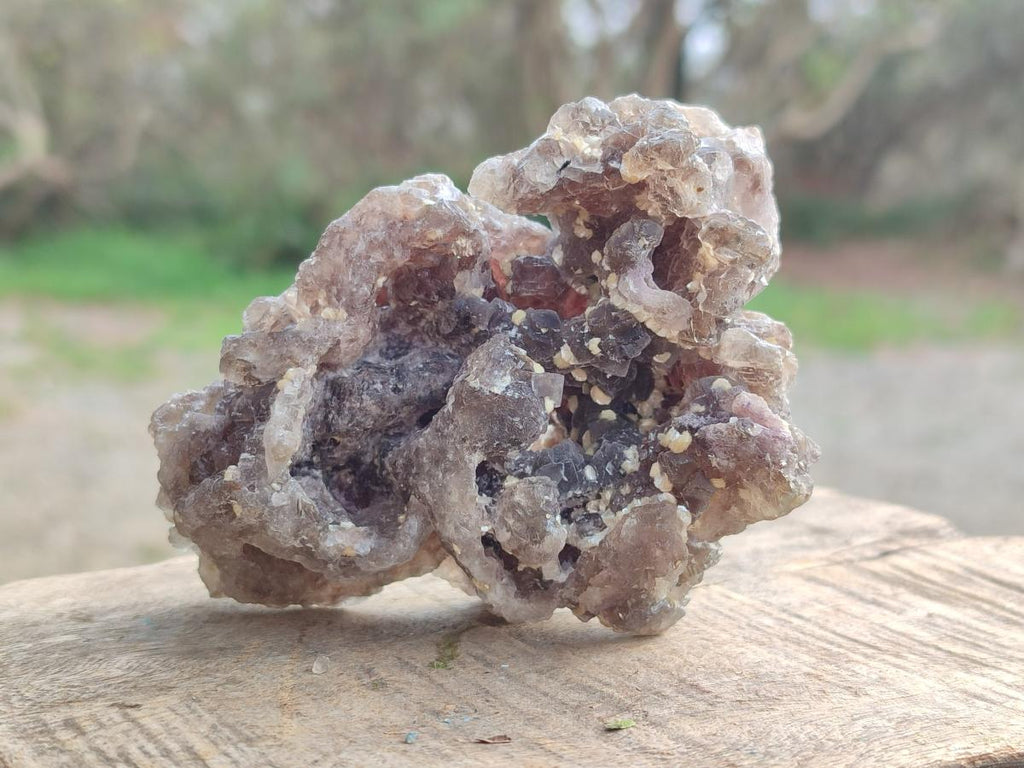 Natural Smokey Fluorite Specimens with Yellow Muscovite Mica x 6 From Erongo, Namibia