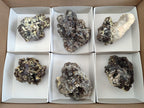 Natural Smokey Fluorite Specimens with Yellow Muscovite Mica x 6 From Erongo, Namibia