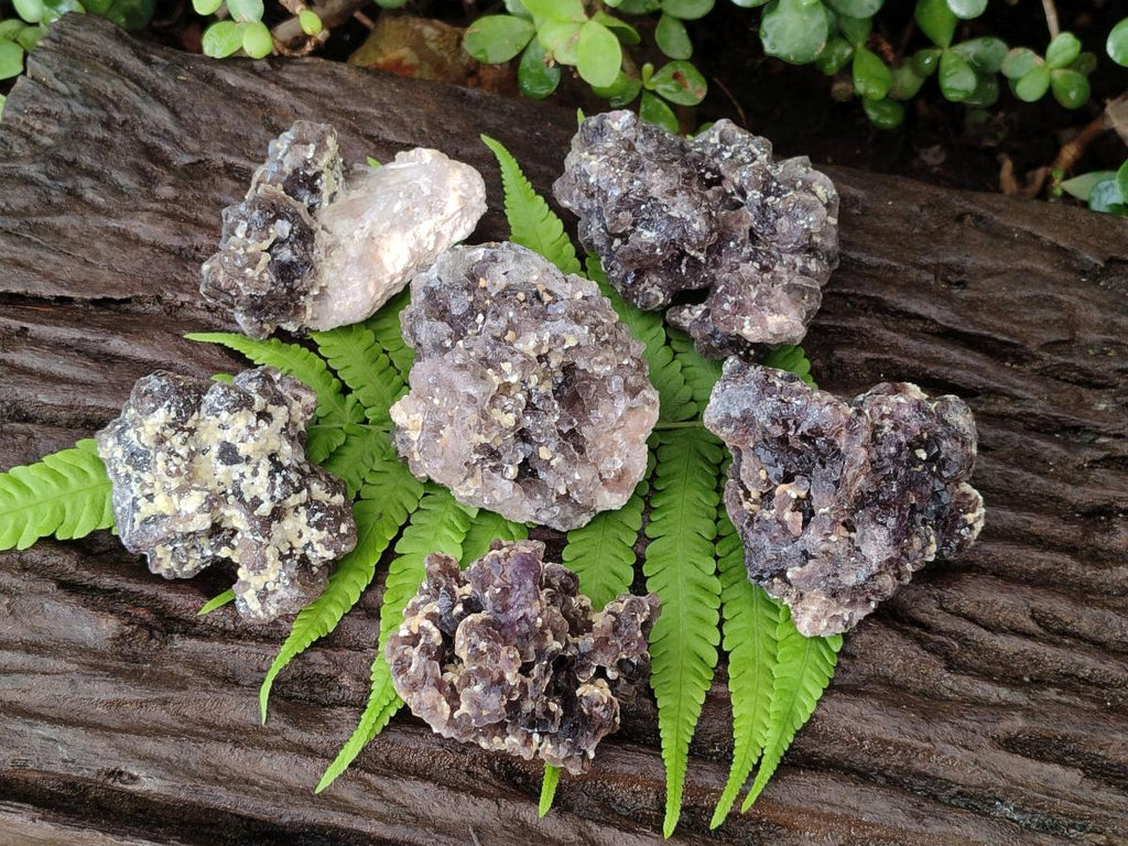 Natural Smokey Fluorite Specimens with Yellow Muscovite Mica x 6 From Erongo, Namibia