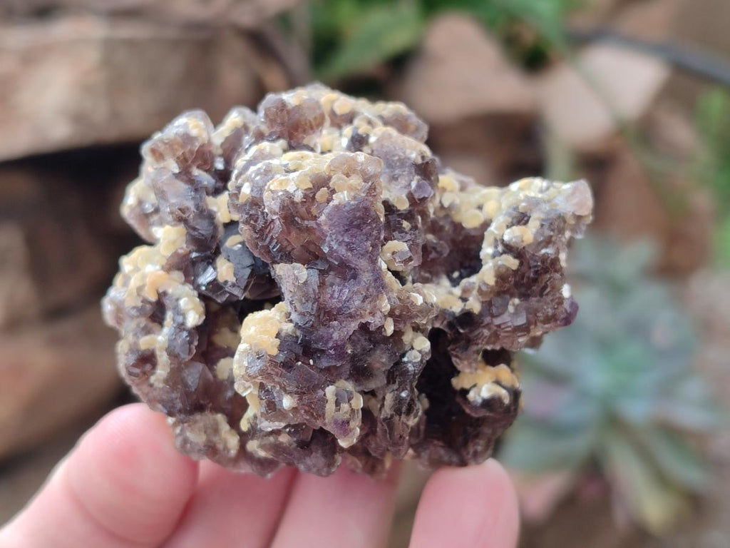 Natural Smokey Fluorite Specimens with Yellow Muscovite Mica x 6 From Erongo, Namibia