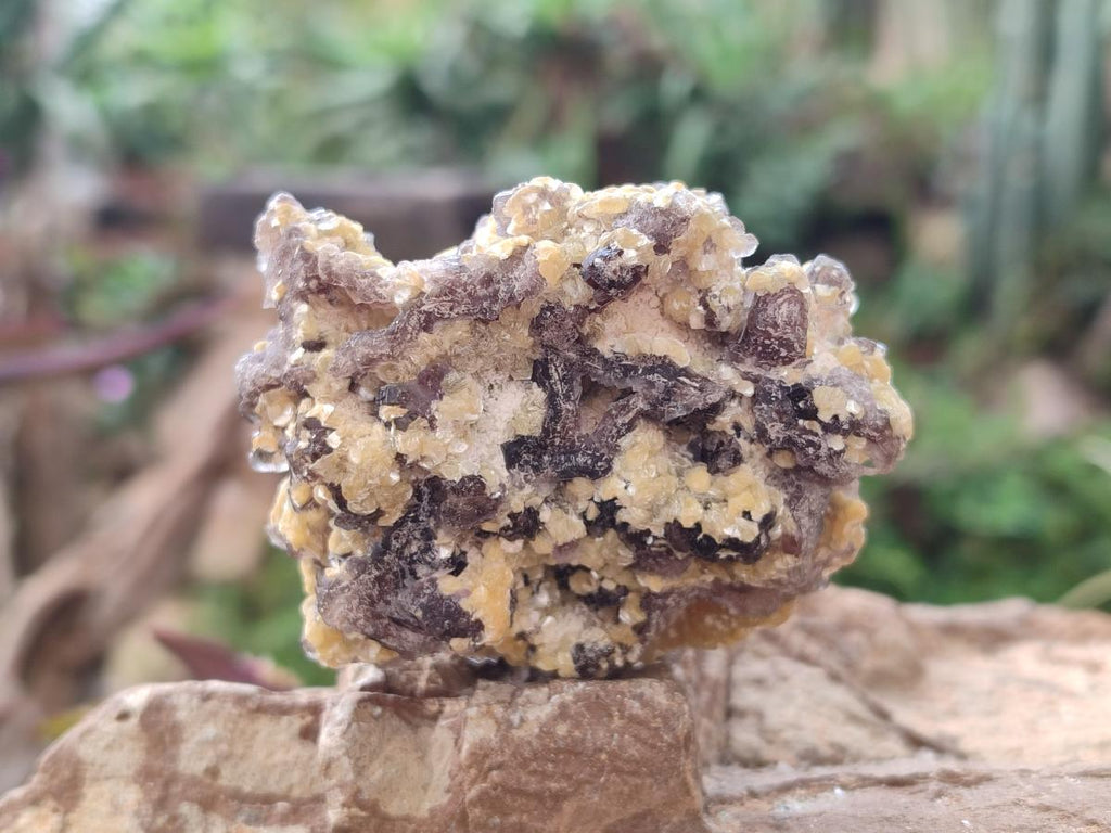 Natural Smokey Fluorite Specimens with Yellow Muscovite Mica x 6 From Erongo, Namibia