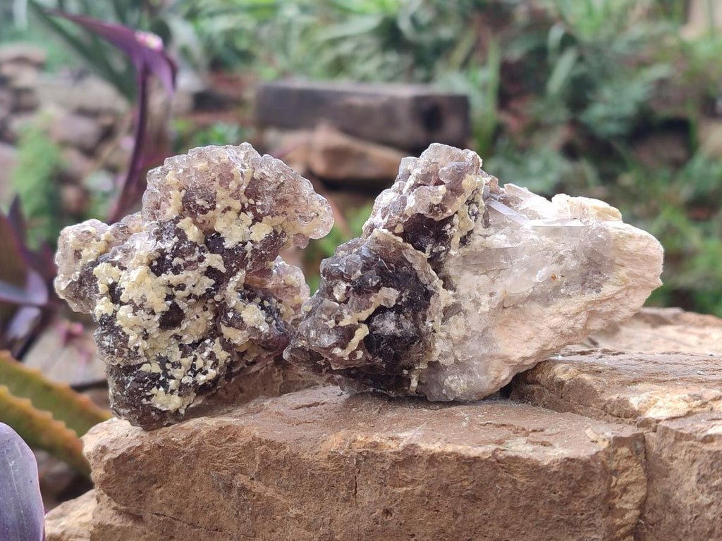 Natural Smokey Fluorite Specimens with Yellow Muscovite Mica x 6 From Erongo, Namibia