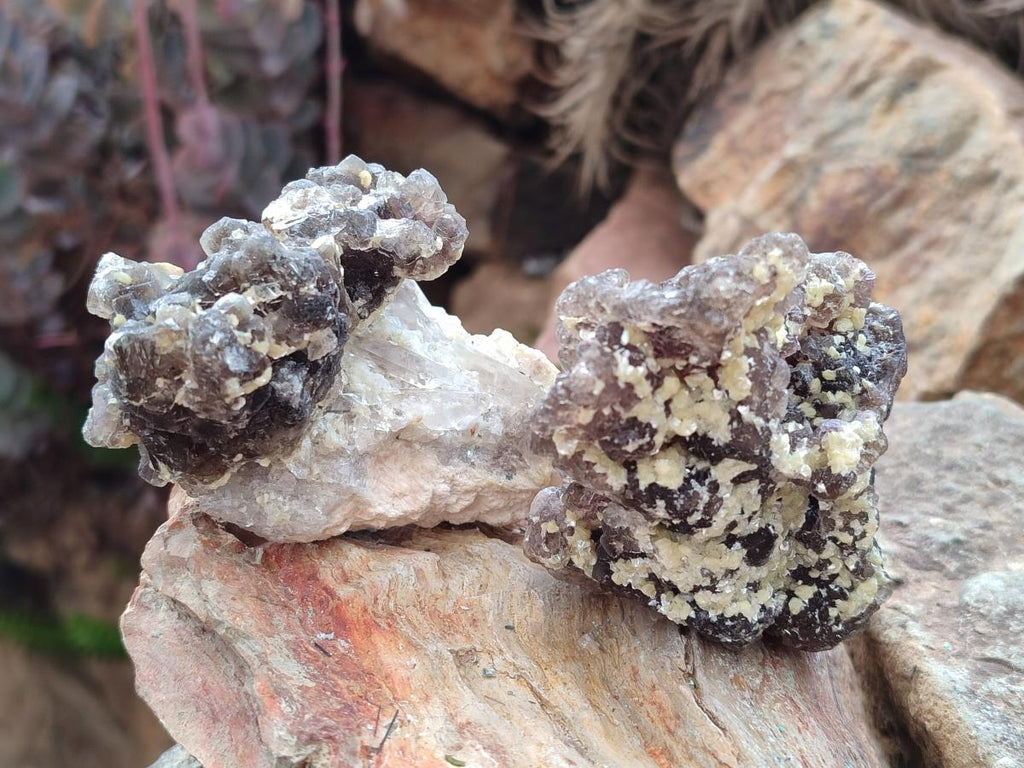 Natural Smokey Fluorite Specimens with Yellow Muscovite Mica x 6 From Erongo, Namibia